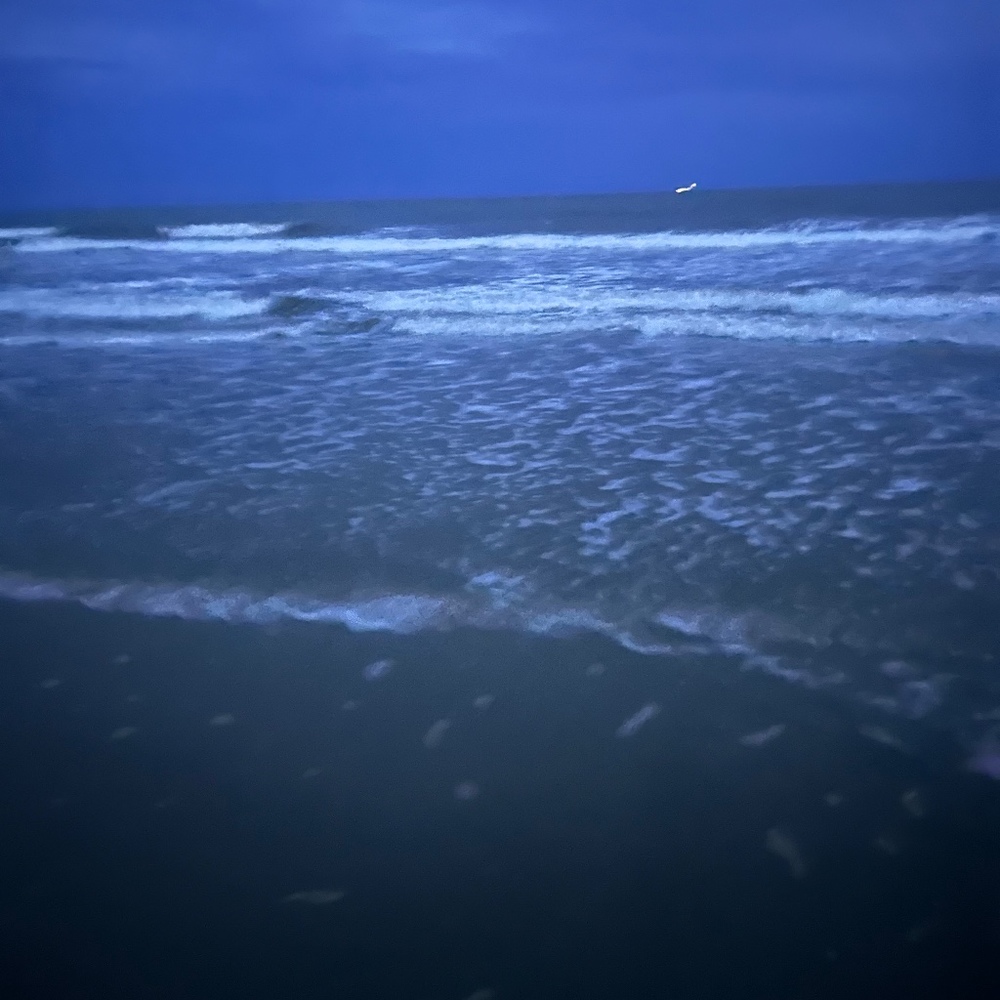 Meet your Posher, Allie